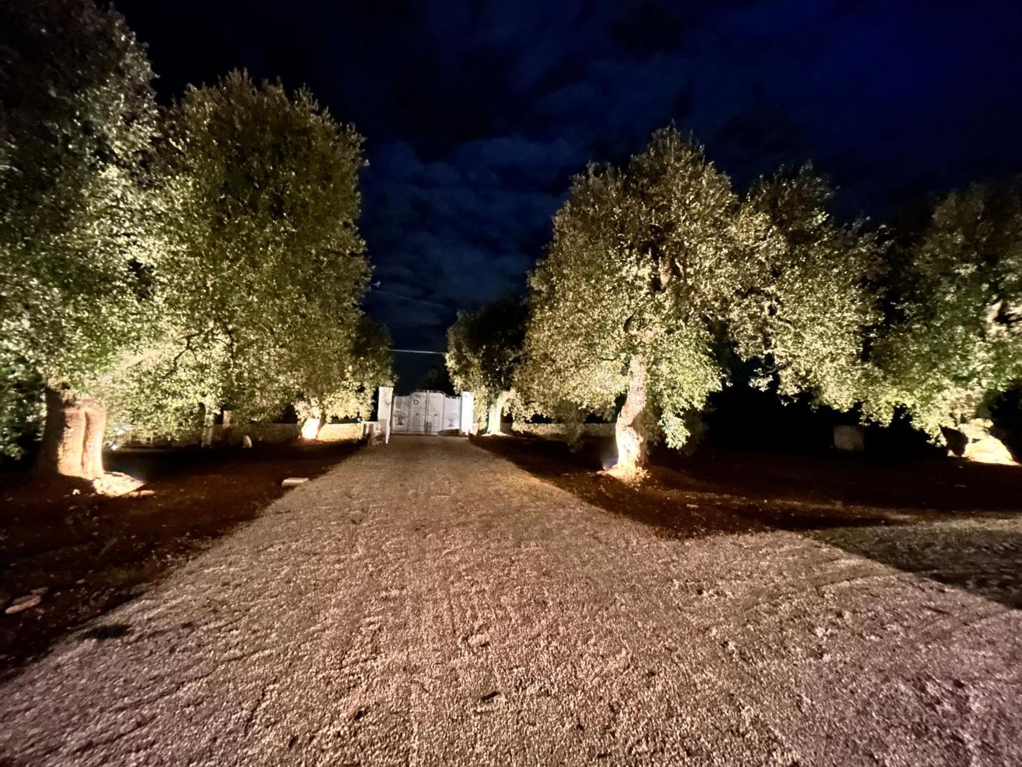 Bed and Breakfast Il Trullo Di Bina Pezze Di Greco Exteriér fotografie
